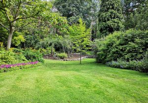 Optimiser l'expérience du jardin à Neuvilly